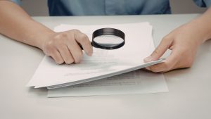 Baja vision en España